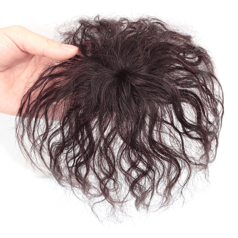 Mecanismo de cabello humano de - Hair Care Women reseña y precio