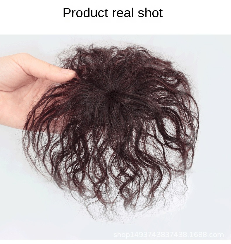 Mecanismo de cabello humano de - Hair Care Women reseña y precio